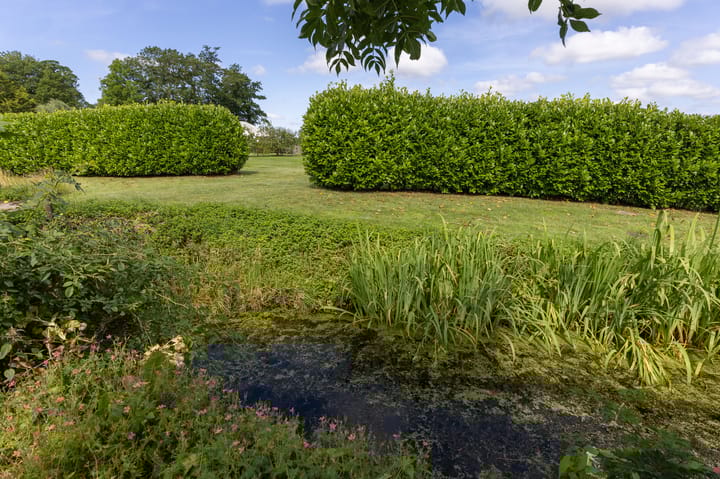 Foto 4 van Dorpsstraat 111