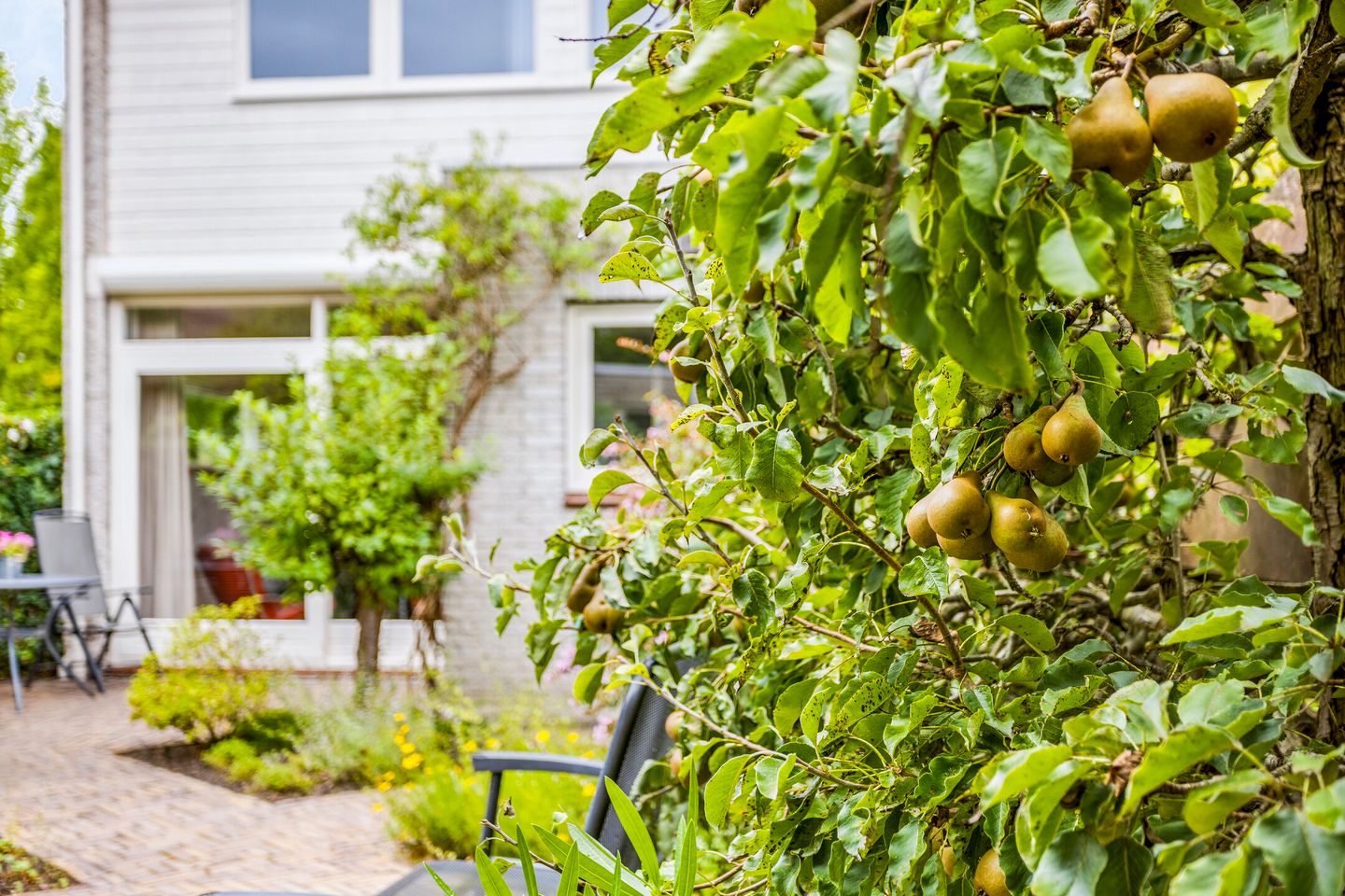 Foto 34 van Chromietdijk 16