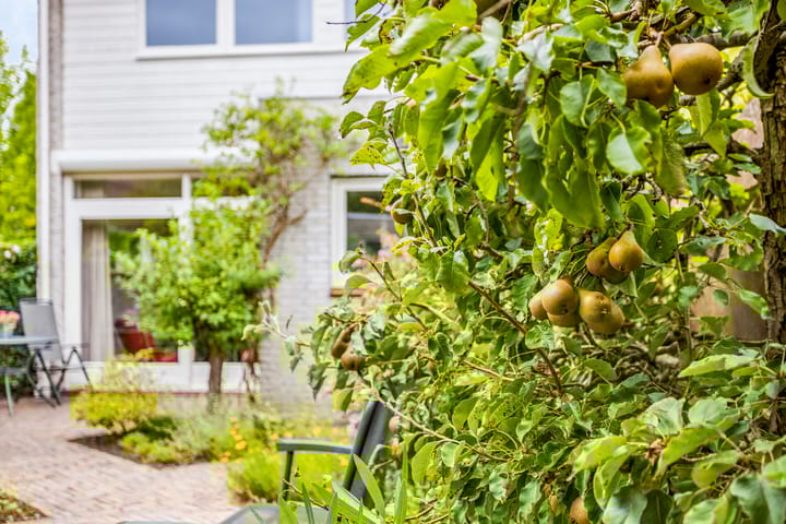 Foto 34 van Chromietdijk 16