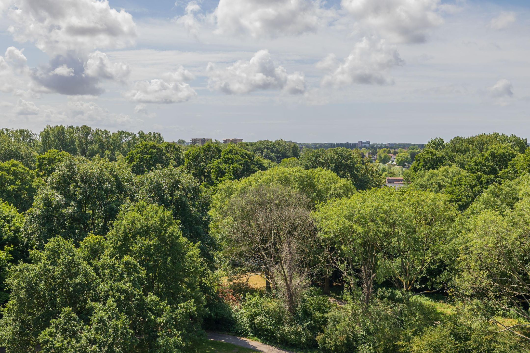 Foto 33 van Engelandlaan 836