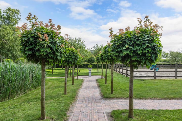 Foto 54 van Sigerswâld 1