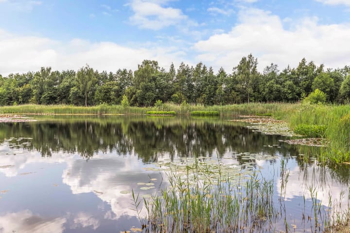 Foto 56 van Sigerswâld 1