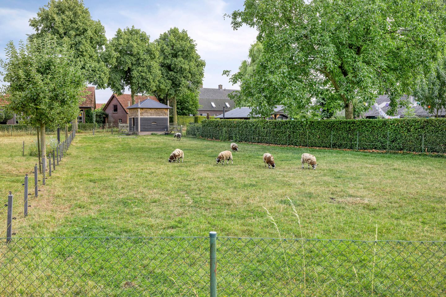 Photo 49 of Maatseheistraat 12-A