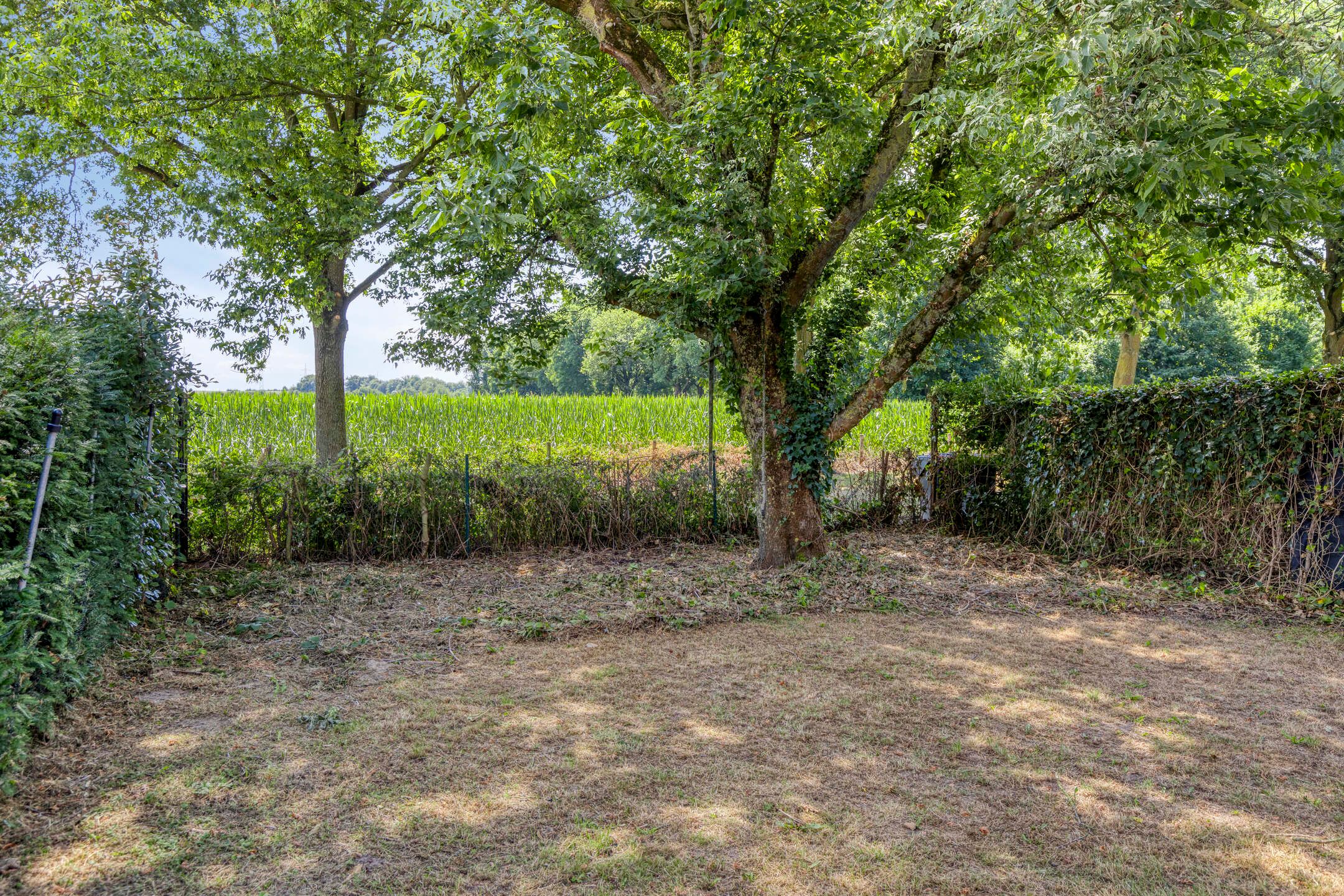 Foto 3 van Kapelaan Wijnensingel 96