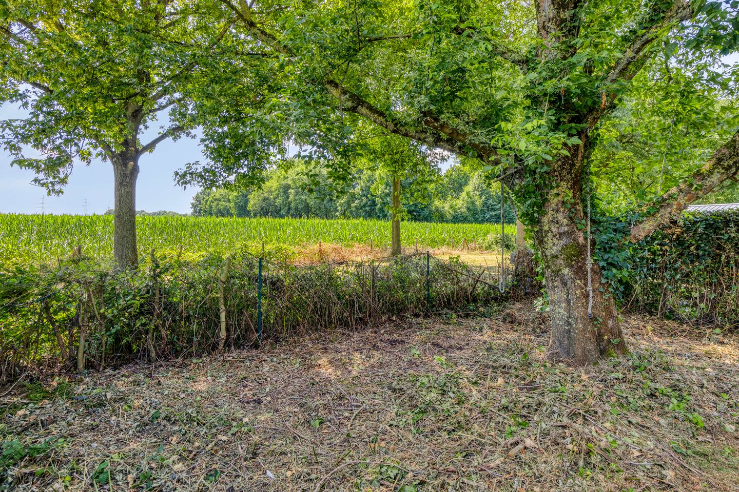 Foto 4 van Kapelaan Wijnensingel 96