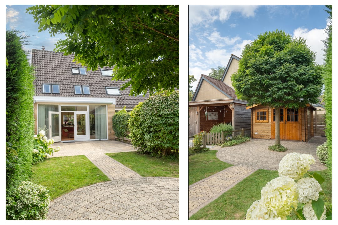 Foto 2 van Fazant 163