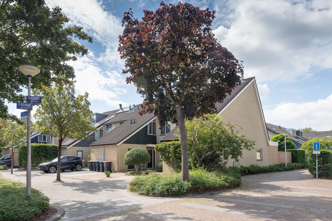 Foto 32 van Fazant 163