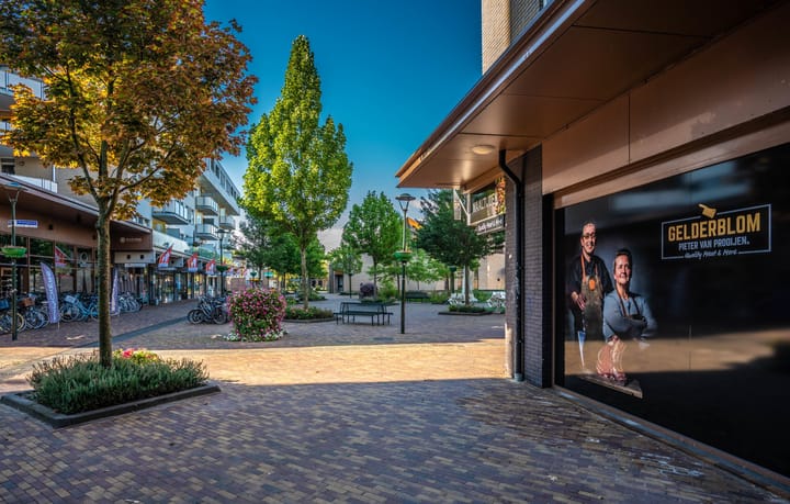 Foto 33 van Fazant 163