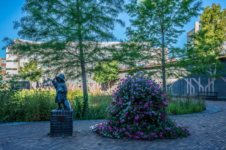 Foto 35 van Fazant 163