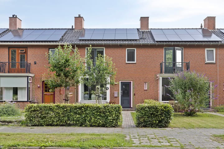 undefined main image