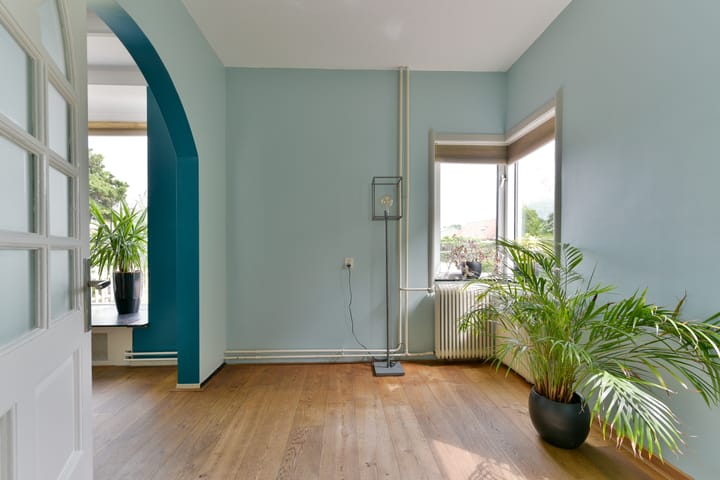 Foto 7 van Provincialeweg 105