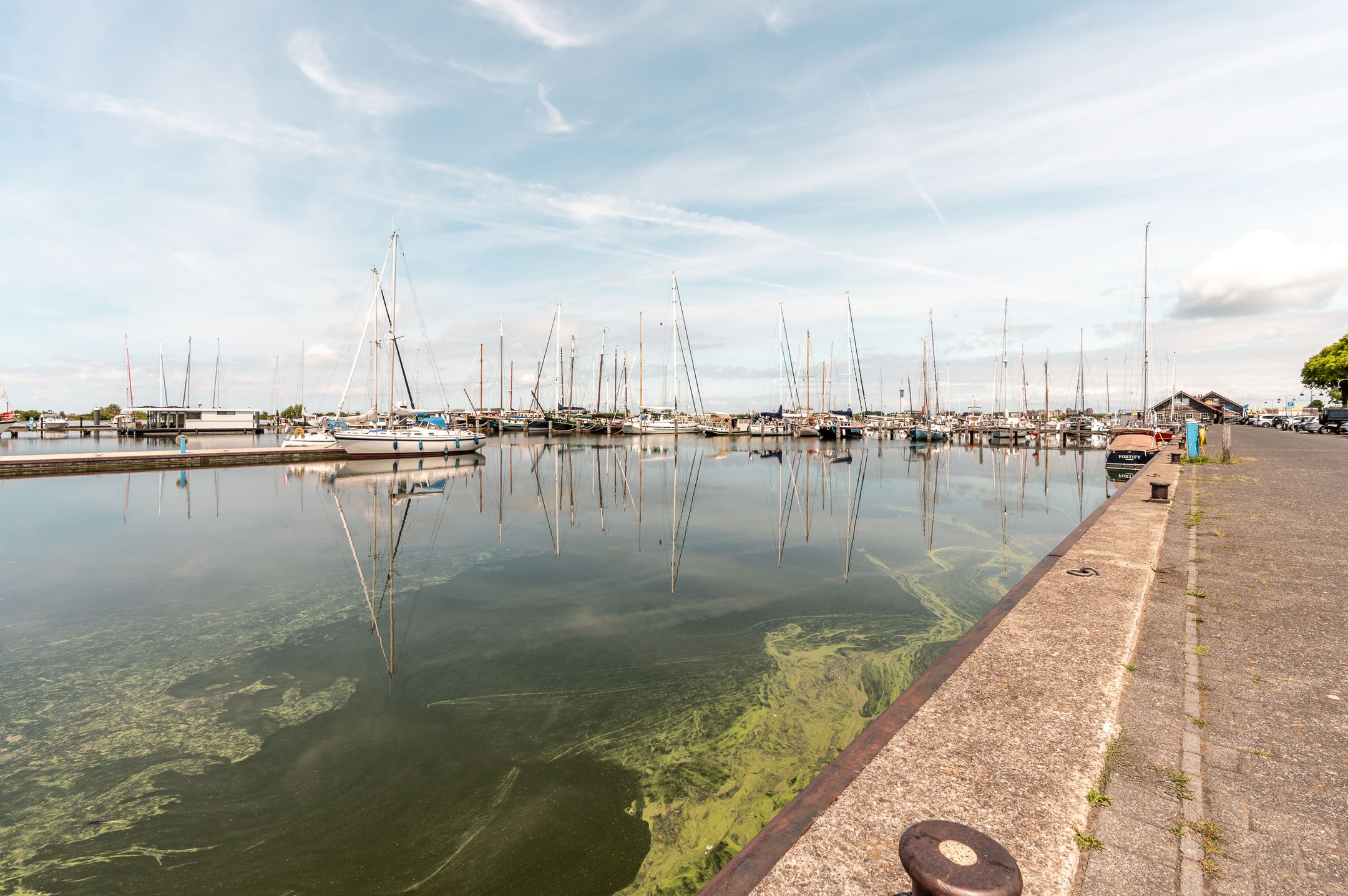 Photo 6 of Pioniersstraat 62