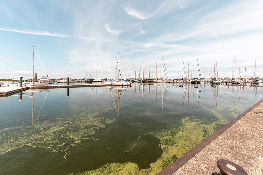 Photo 28 of Pioniersstraat 62