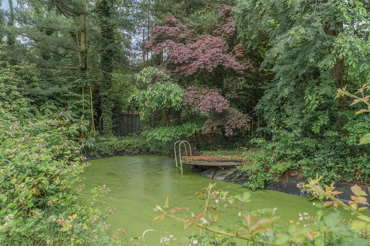 Foto 62 van Antwerpsestraatweg 607