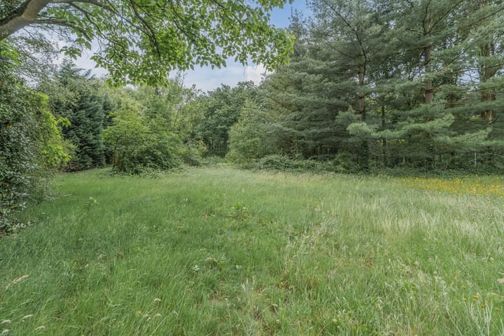 Foto 65 van Antwerpsestraatweg 607