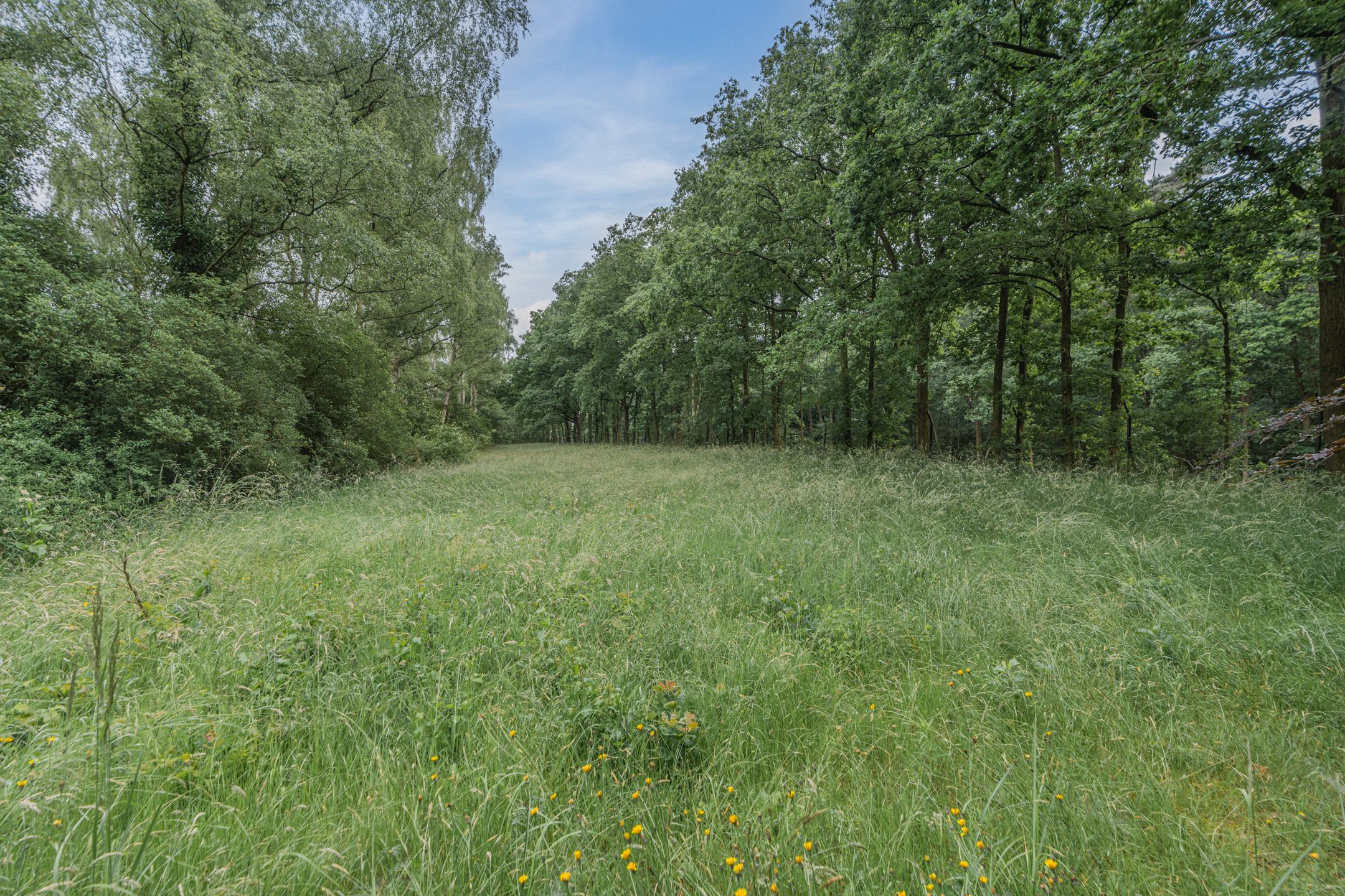 Photo 66 of Antwerpsestraatweg 607