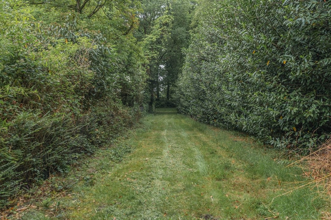Photo 71 of Antwerpsestraatweg 607