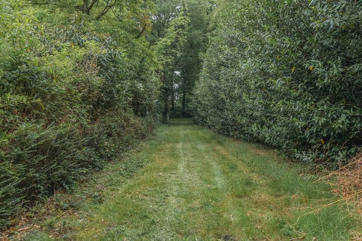 Foto 71 van Antwerpsestraatweg 607