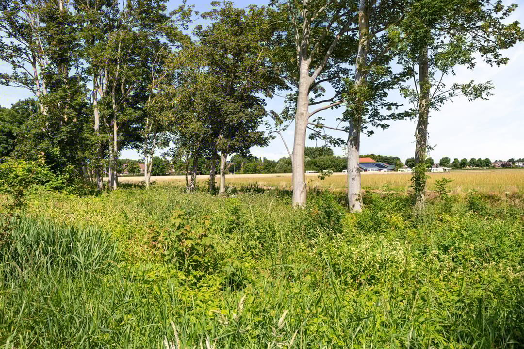 Foto 28 van Notenhout 25-B