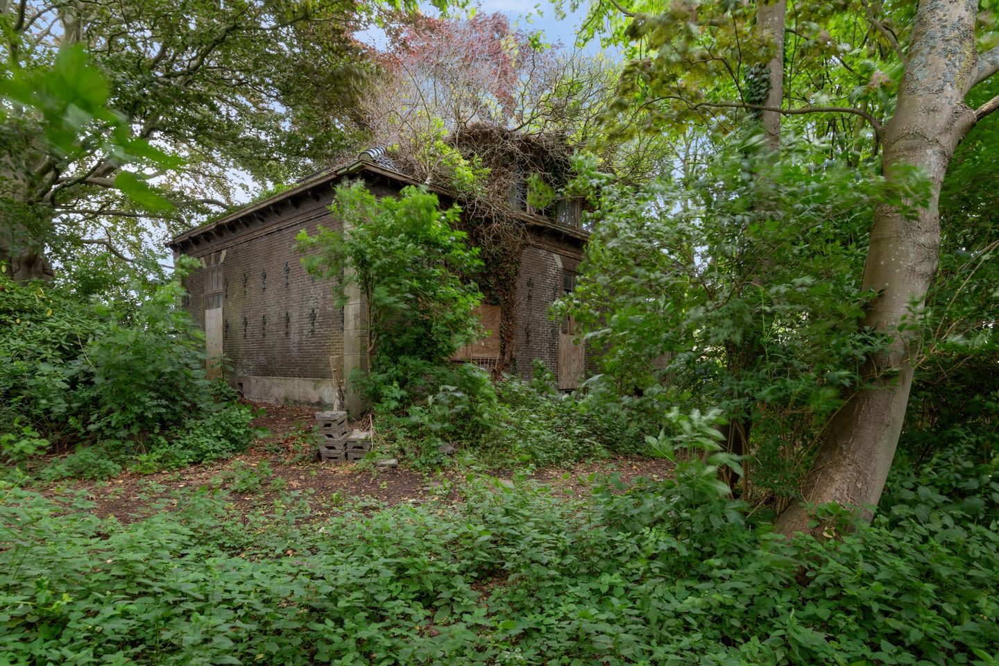 Photo 29 of De Buurt 43