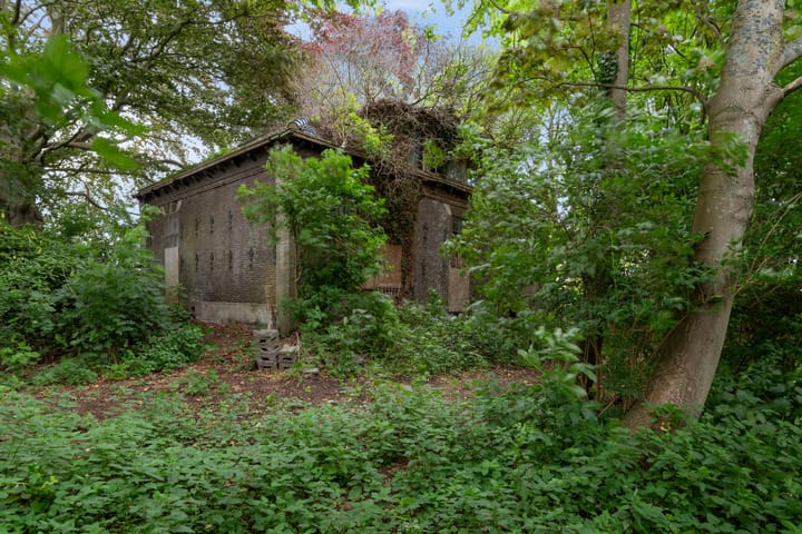 Foto 29 van De Buurt 43