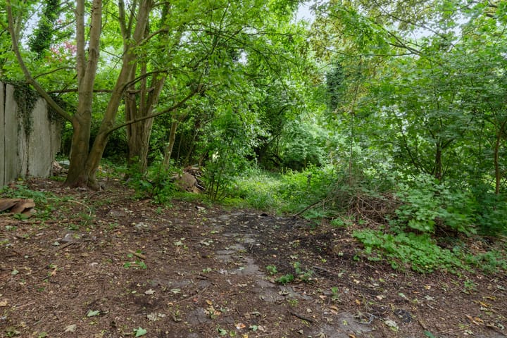 Foto 32 van De Buurt 43