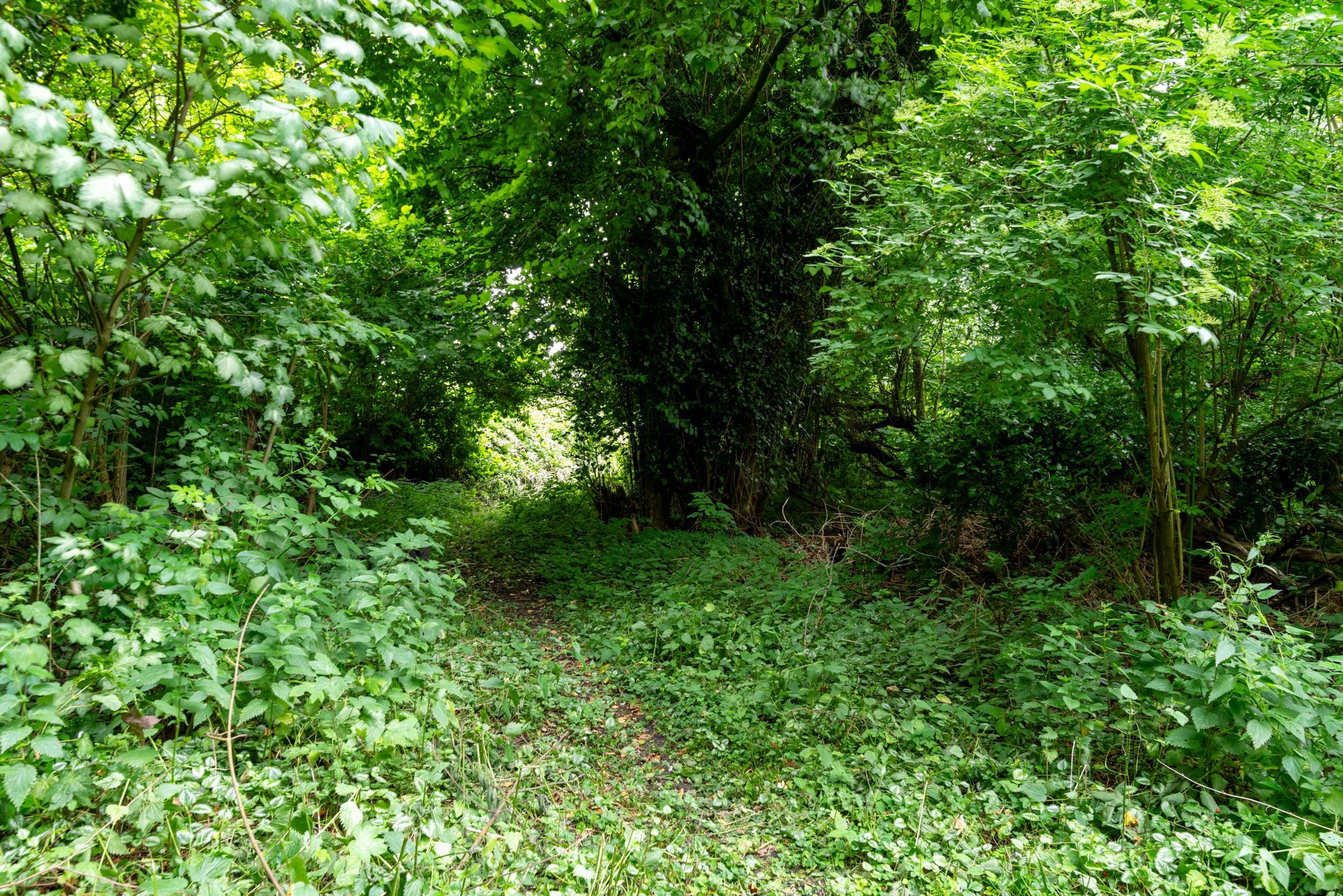 Photo 33 of De Buurt 43