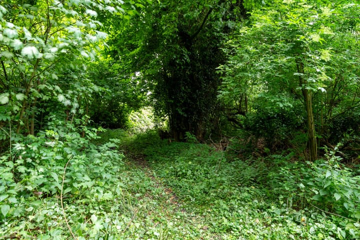 Foto 33 van De Buurt 43