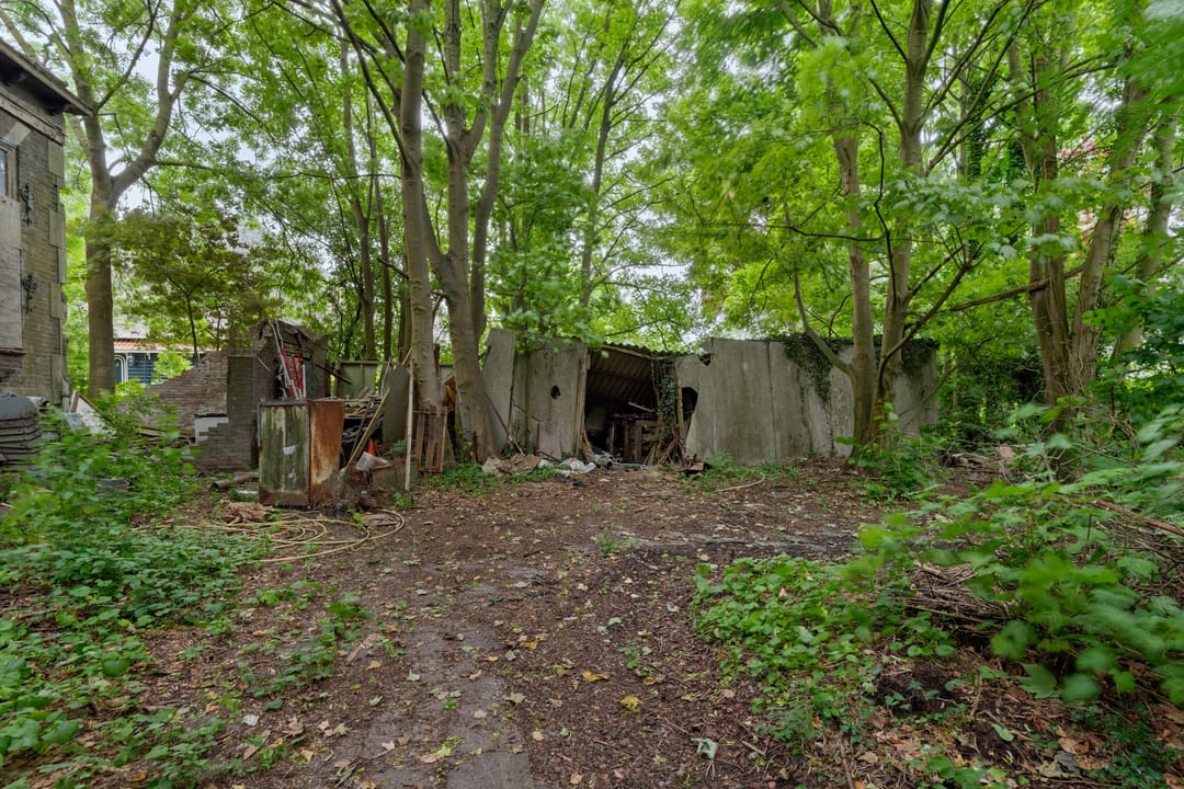 Photo 31 of De Buurt 43