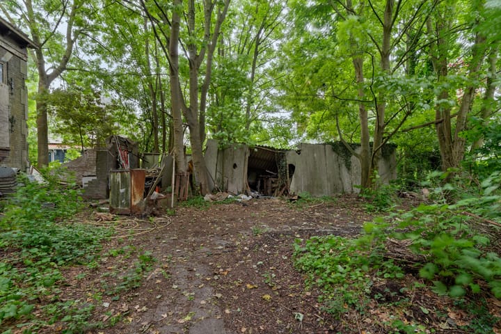 Foto 31 van De Buurt 43