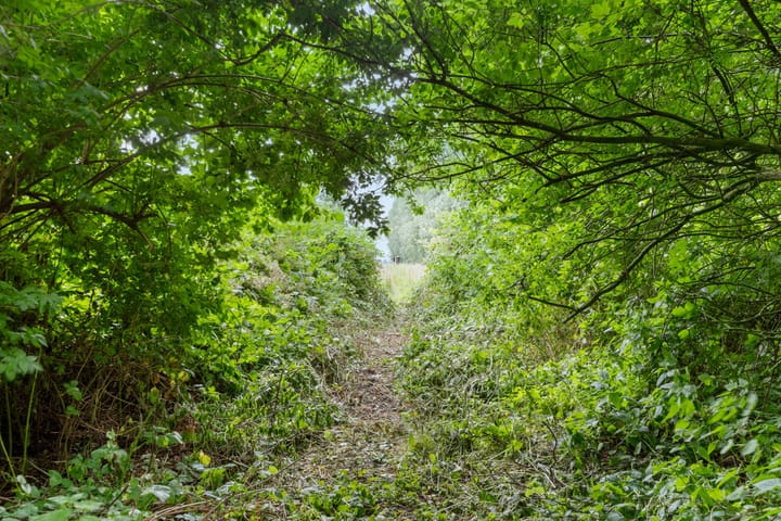 Foto 34 van De Buurt 43