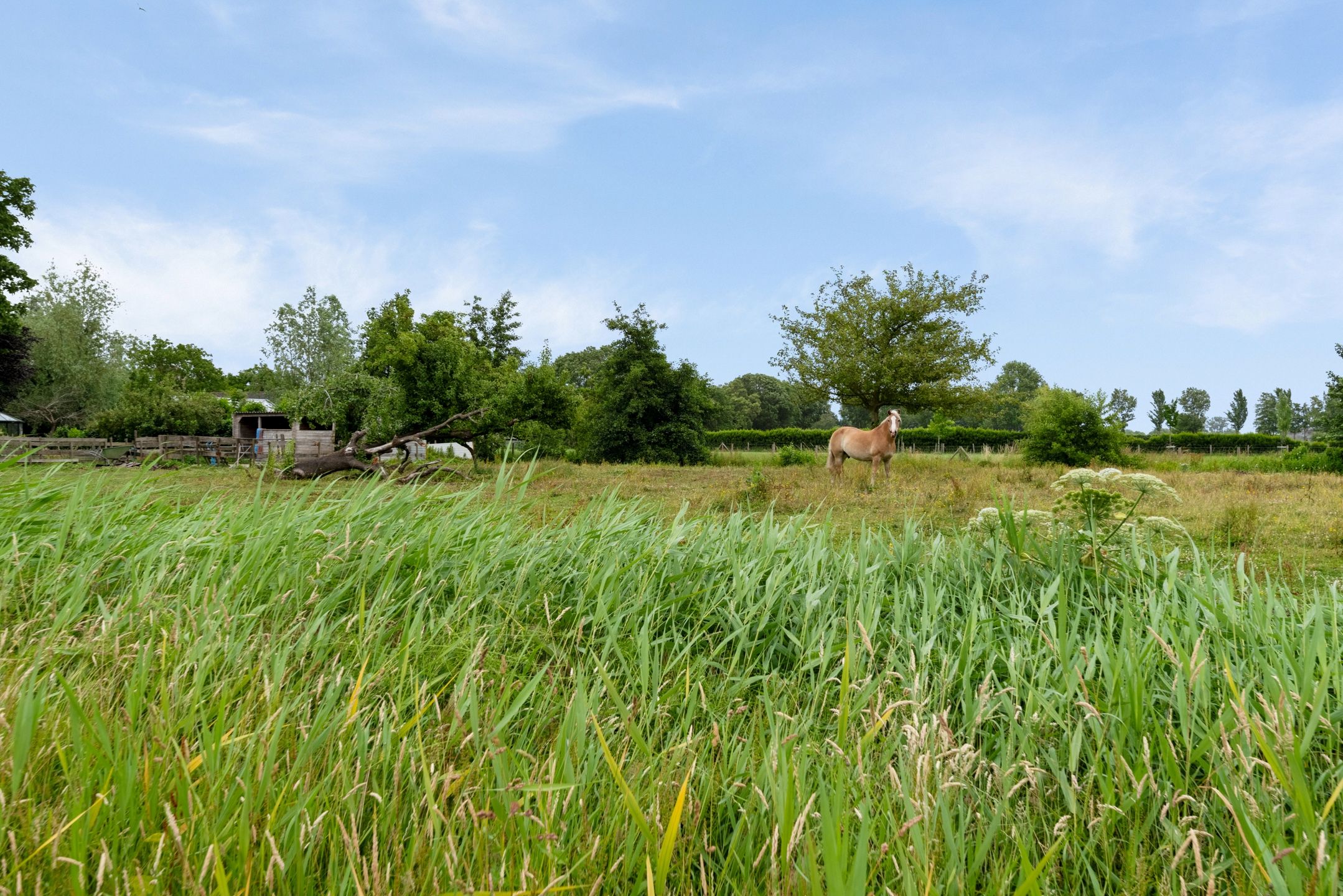 Photo 36 of De Buurt 43