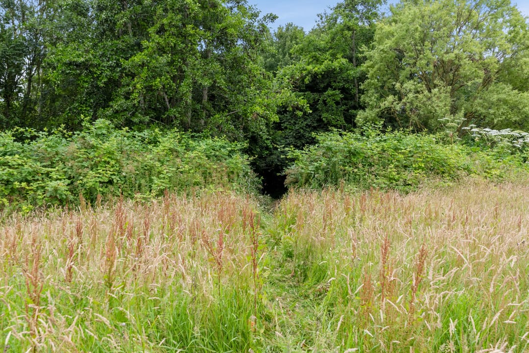 Photo 37 of De Buurt 43