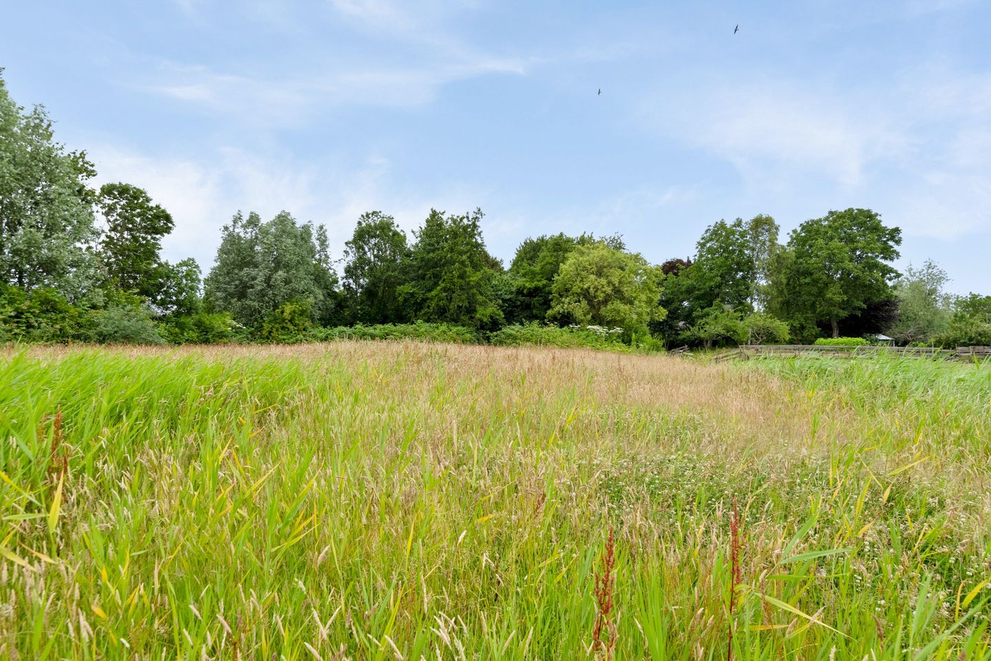 Photo 35 of De Buurt 43