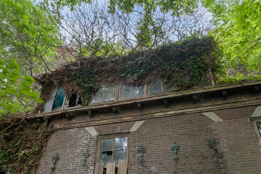 Photo 41 of De Buurt 43