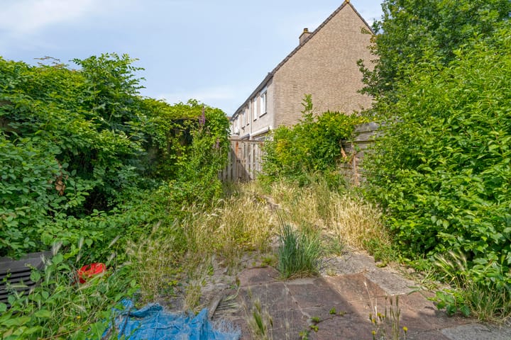 Foto 13 van Rousselpad 19