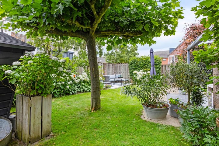 Foto 24 van Carmelietenstraat-west 41