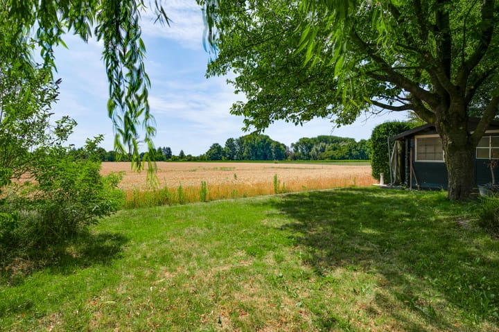 Foto 23 van Iepenlaan 58