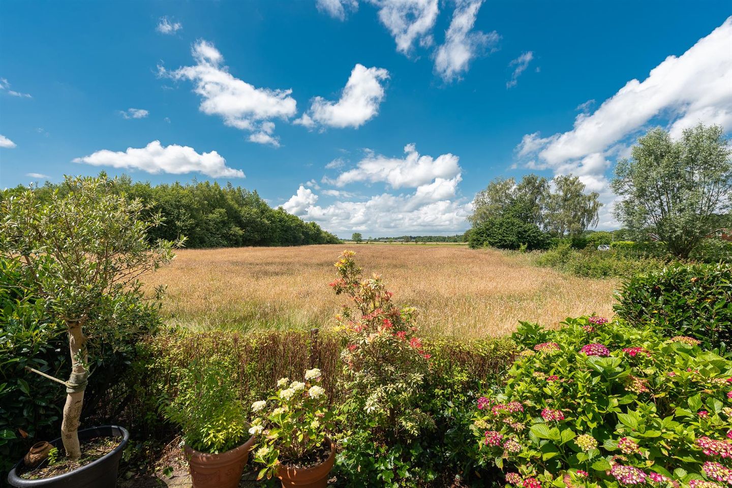 Foto 25 van Graaf Floris V weg 32-40