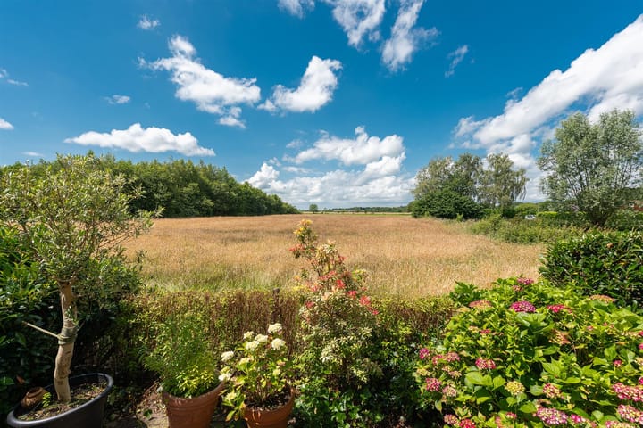 Foto 25 van Graaf Floris V weg 32-40