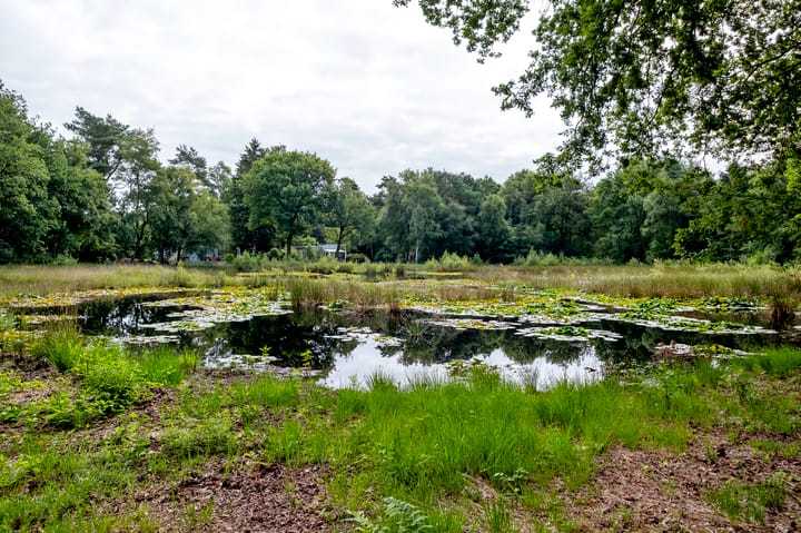 Foto 37 van Wijsterseweg 18-3