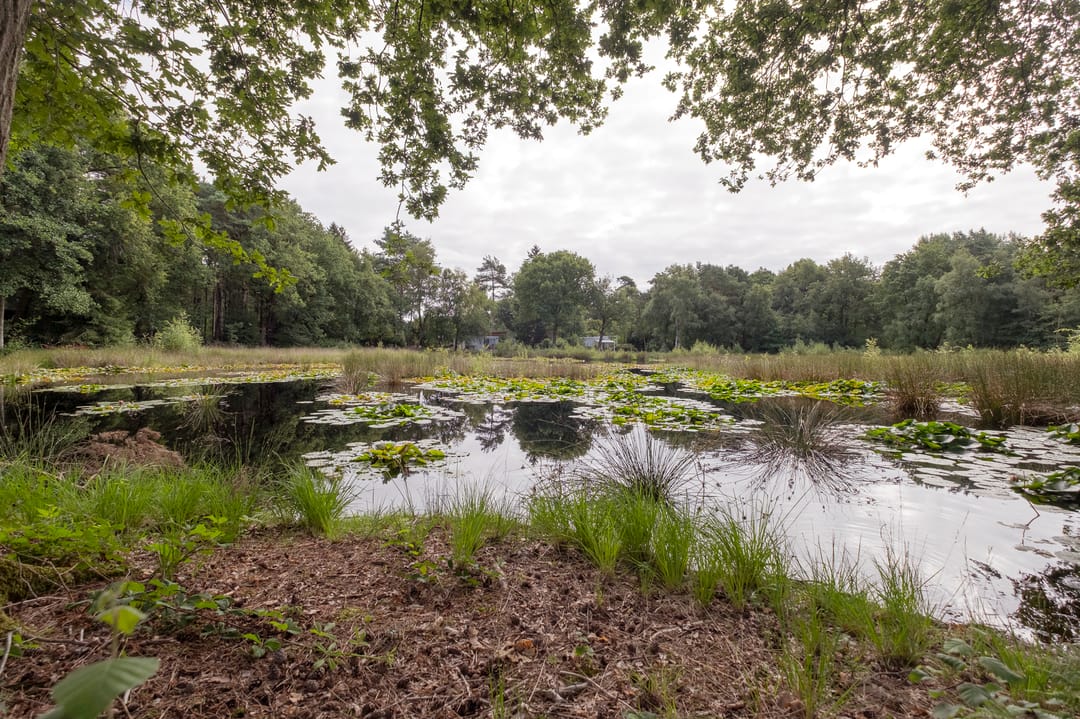 Photo 38 of Wijsterseweg 18-3