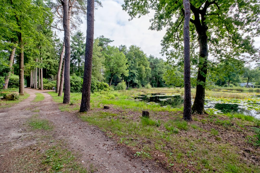 Photo 41 of Wijsterseweg 18-3