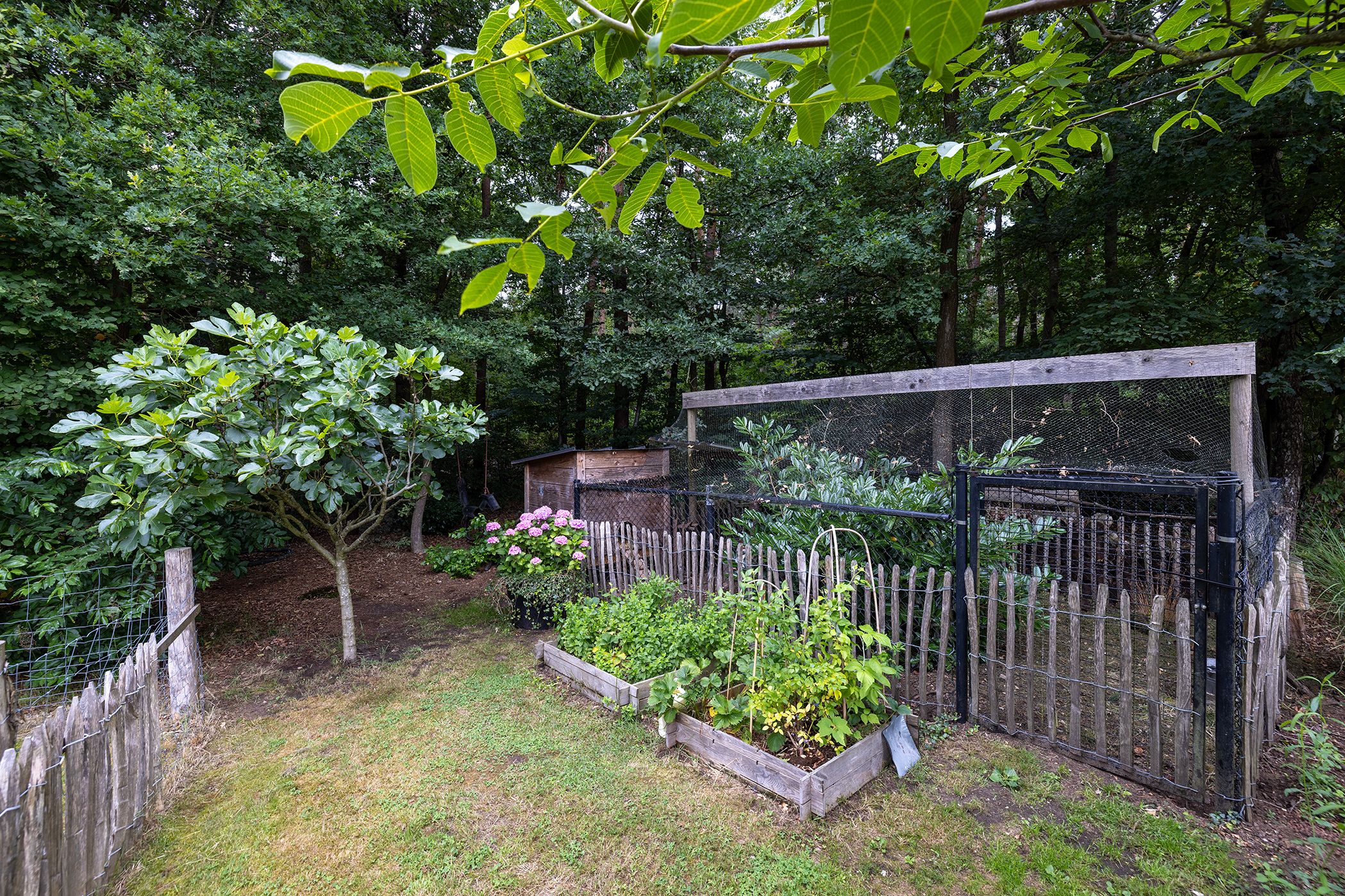 Photo 84 of Woesterweg 13