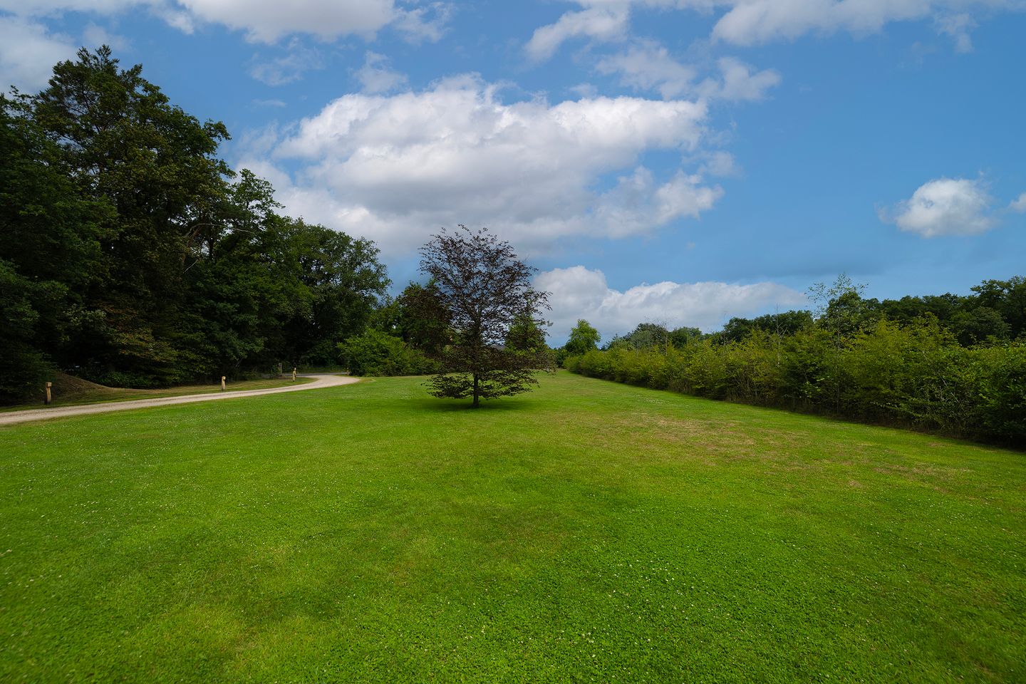 Photo 85 of Woesterweg 13