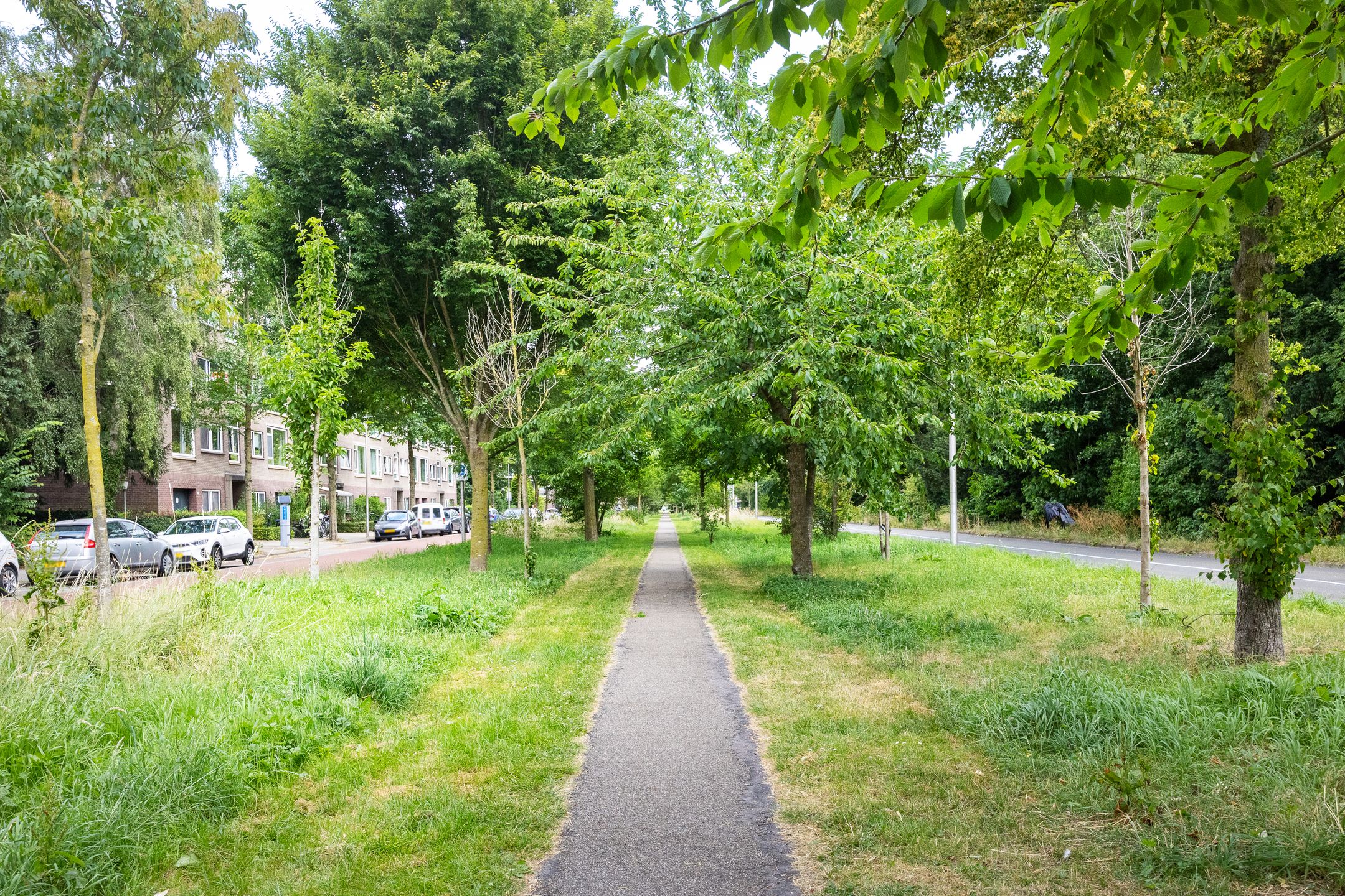 Photo 39 of Slotlaan 122