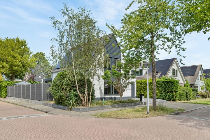 Foto 4 van Jean Gabinplantsoen 18