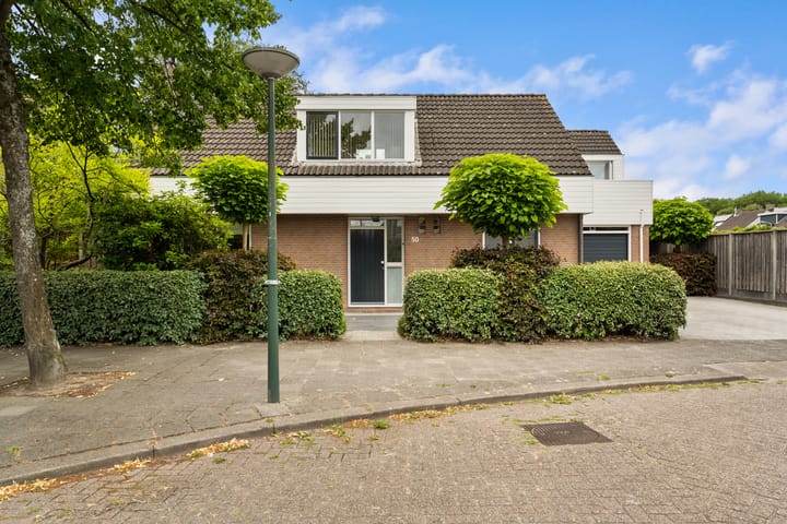 Foto 42 van Dreef 50