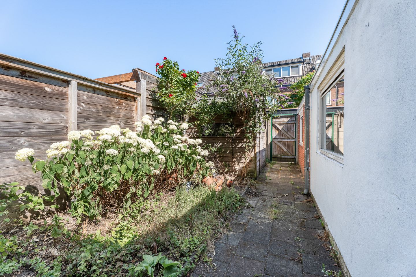 Foto 25 van Kalkoenstraat 28