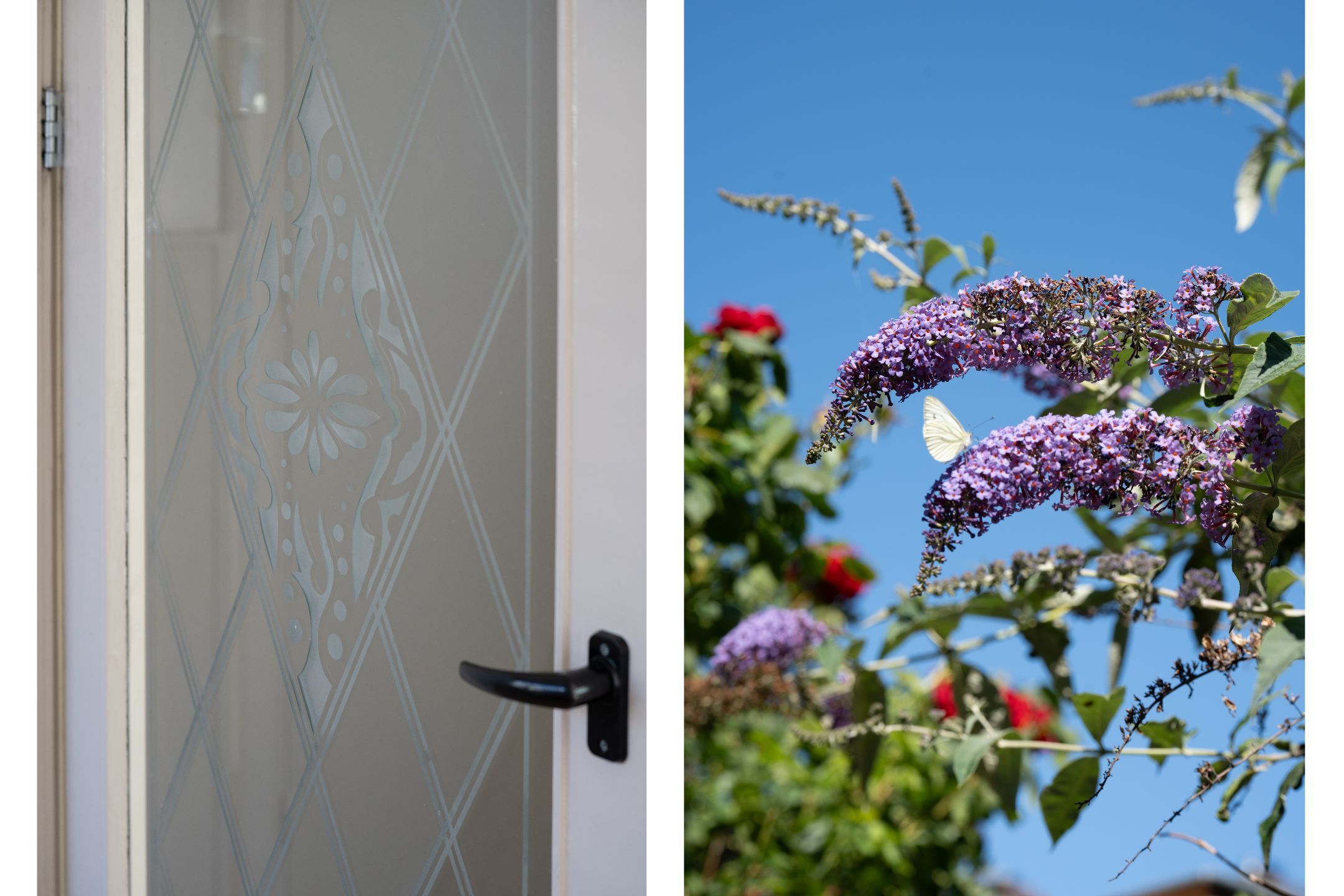 Foto 27 van Kalkoenstraat 28